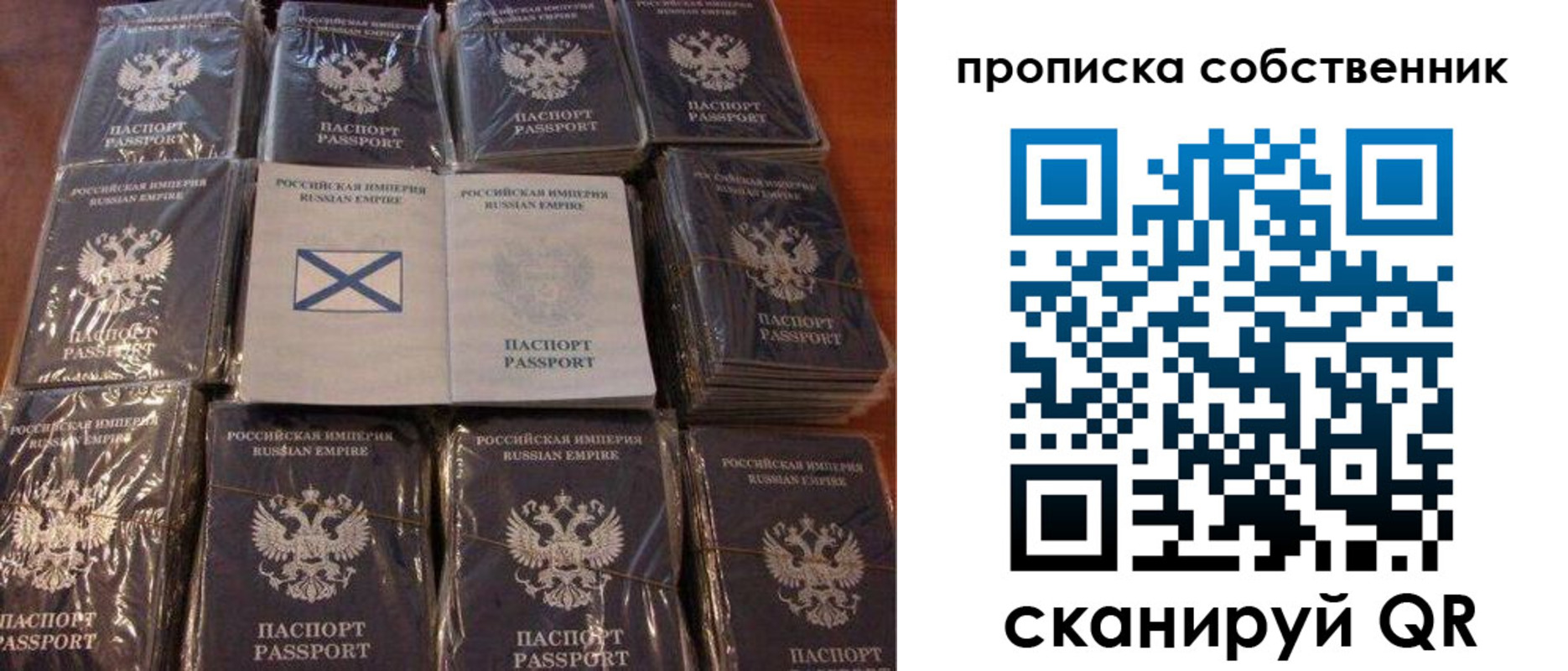 прописка поиск в Приозерске